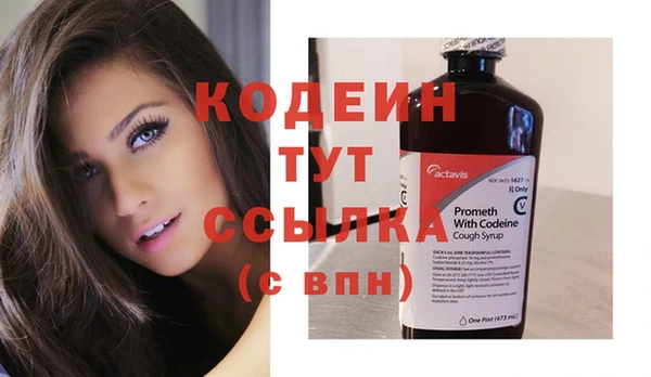 стаф Абаза