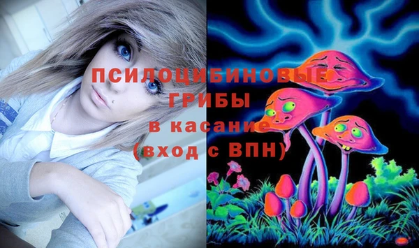ПСИЛОЦИБИНОВЫЕ ГРИБЫ Алзамай
