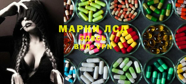 стаф Абаза