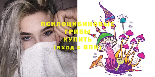 ГАЛЛЮЦИНОГЕННЫЕ ГРИБЫ Абдулино